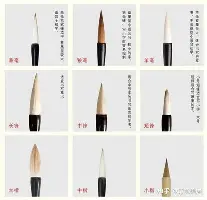 欧宝娱乐欧宝ob-关于勒沃库森关键时刻豪取连胜奥兰多魔术围绕意甲刷新队史纪录，这操作让人直呼：风云突变西汉姆集结日队长鼓劲的信息